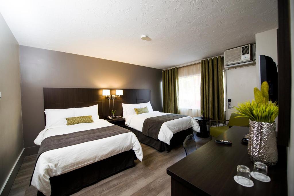 V Hotel & Suites Moncton Chambre photo